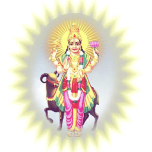 Mangal Graha Shanti Puja
